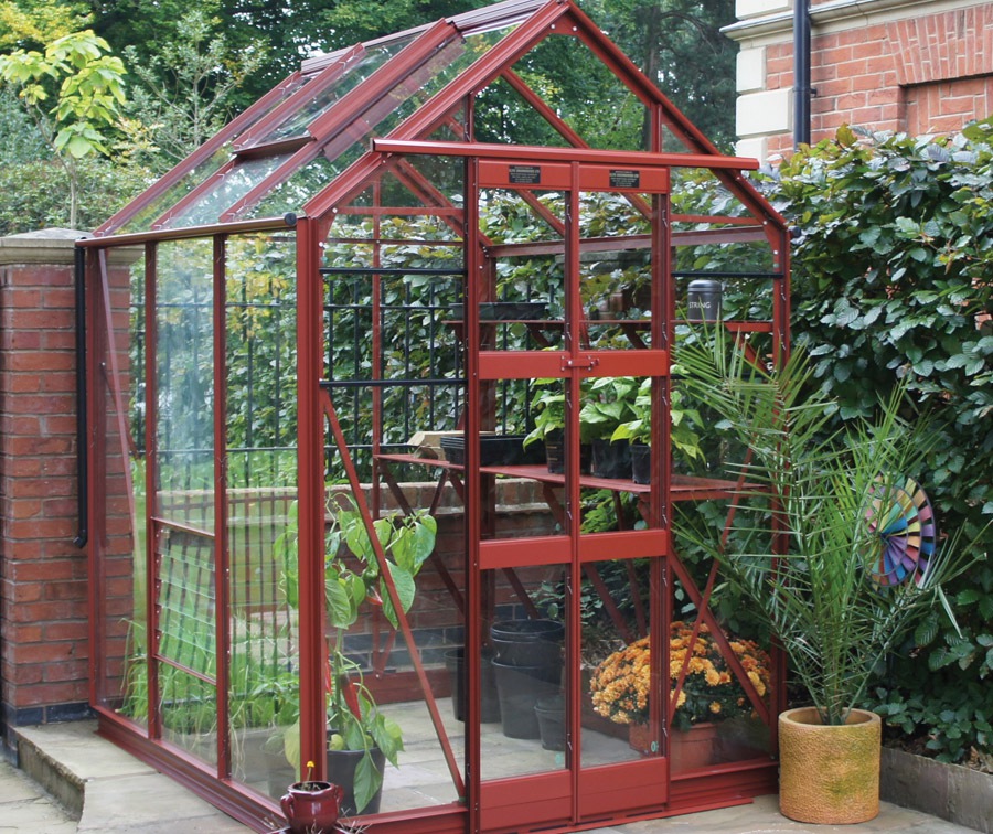 Greenhouses Delta 5’3ft Wide (High Eaves) BARRAS GARDEN SHED COMPANY