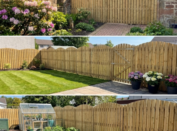 Slat Garden Fencing Glasgow